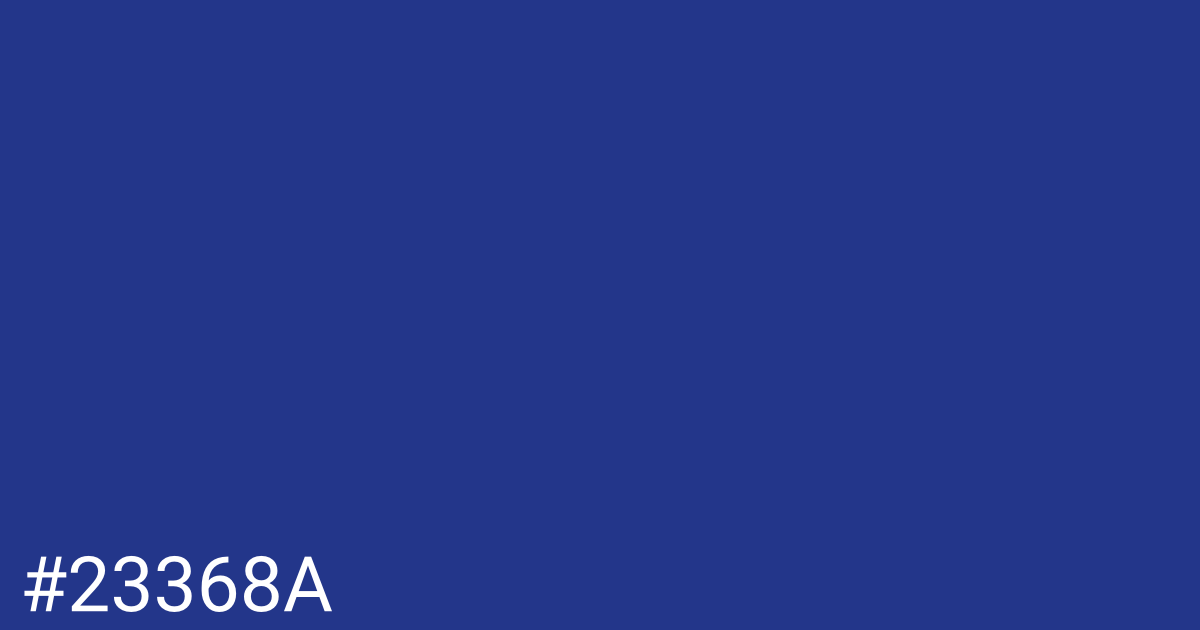 Hex color #23368a graphic