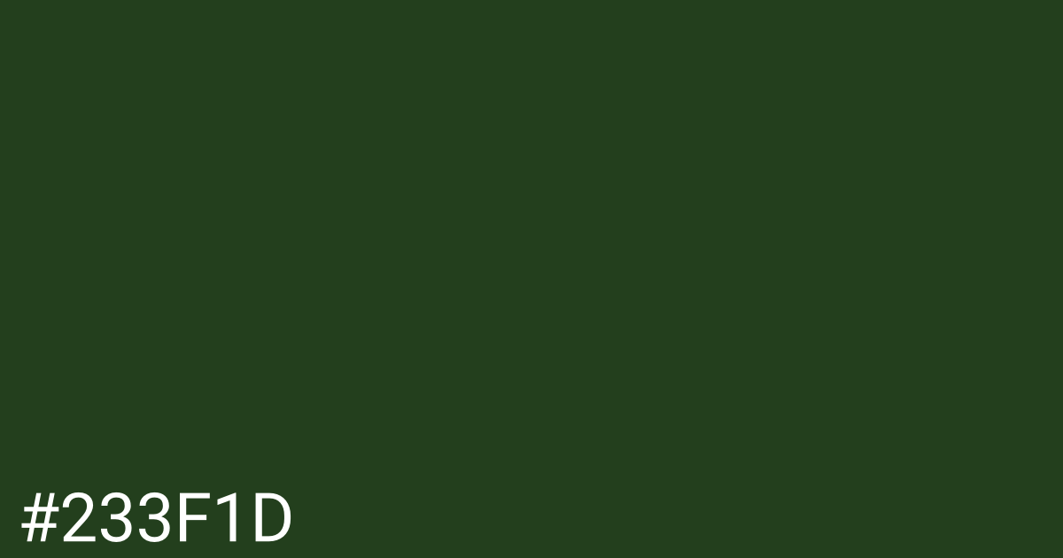 Hex color #233f1d graphic