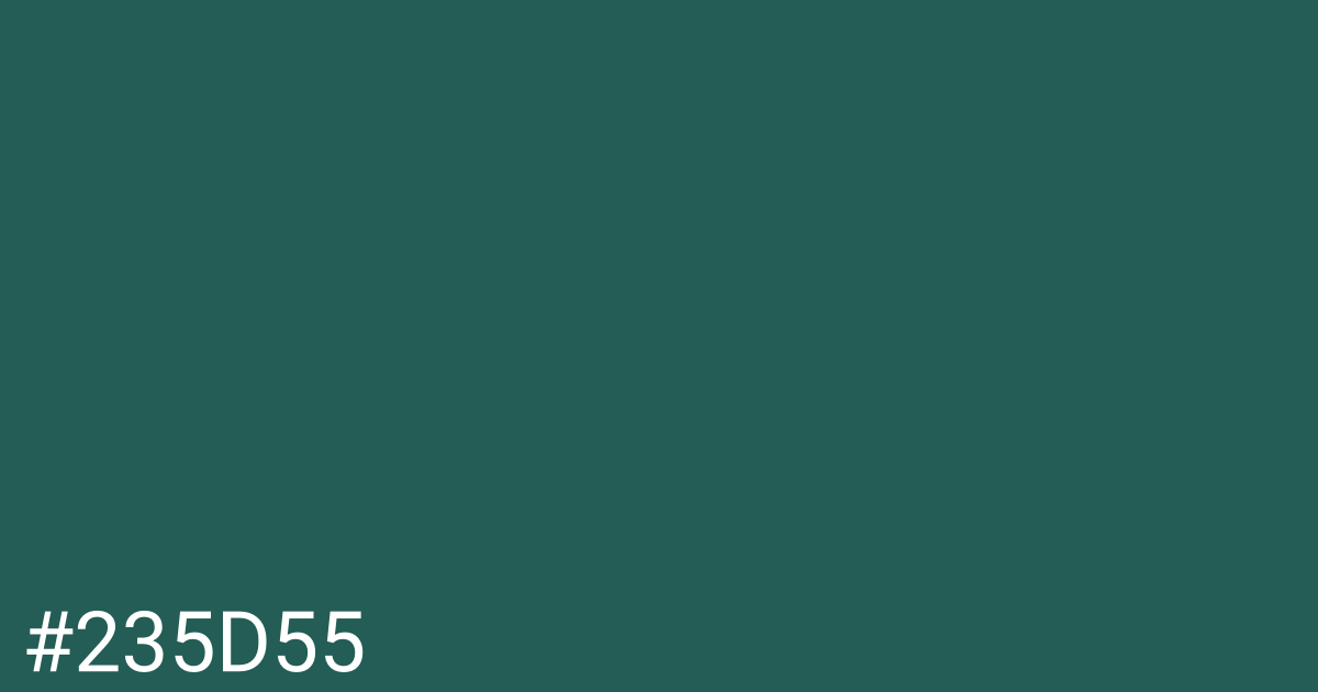 Hex color #235d55 graphic