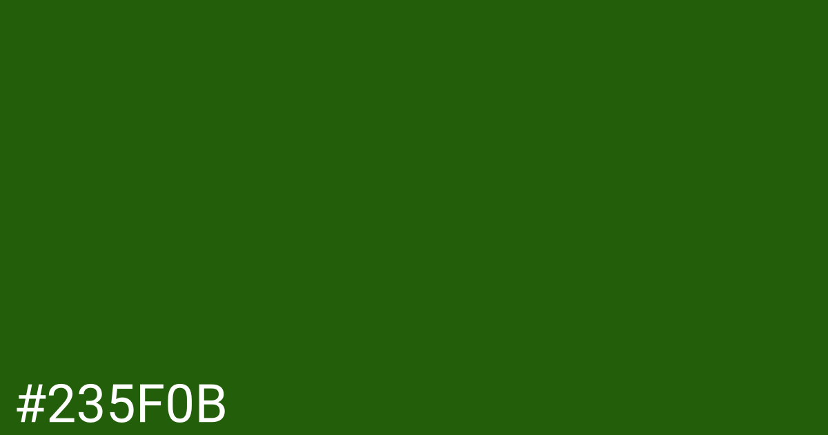 Hex color #235f0b graphic