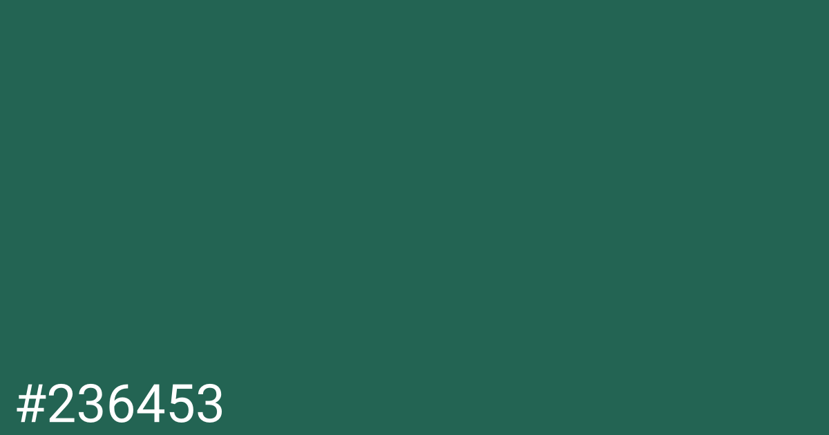 Hex color #236453 graphic