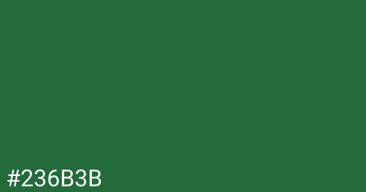 Hex color #236b3b graphic