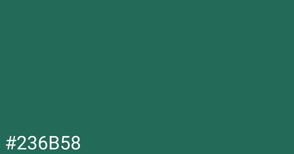 Hex color #236b58 graphic