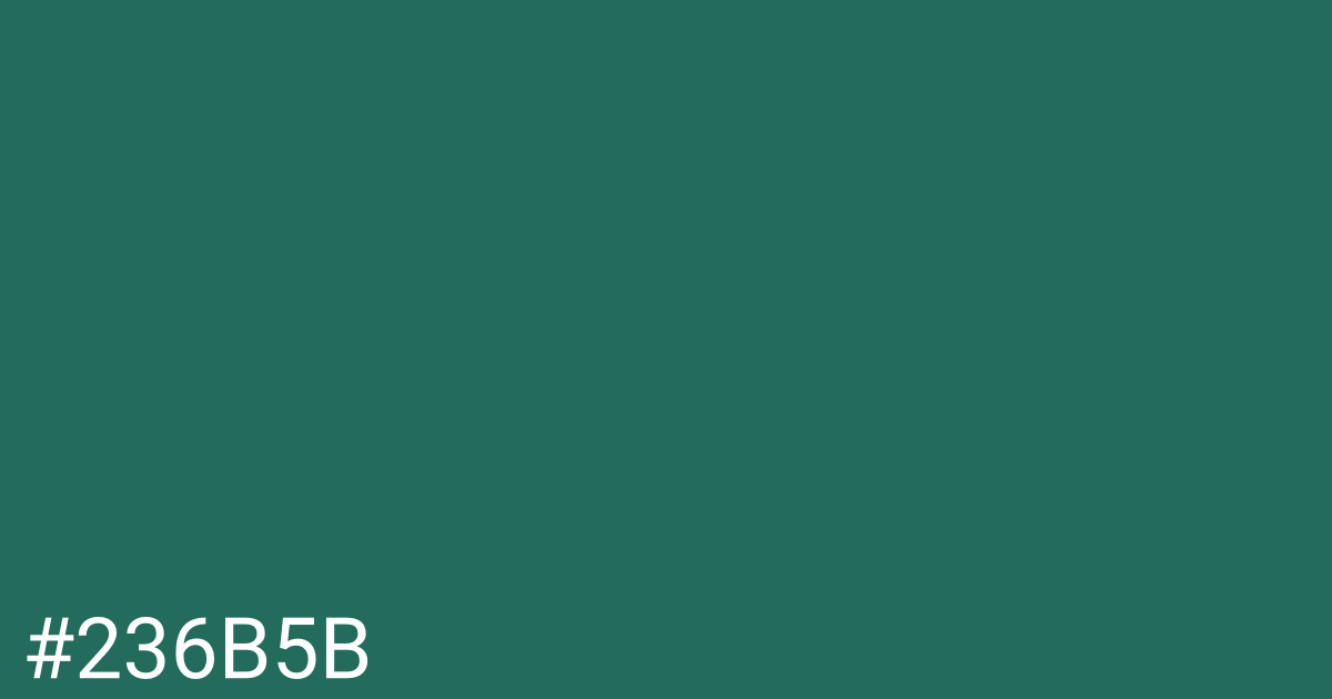 Hex color #236b5b graphic