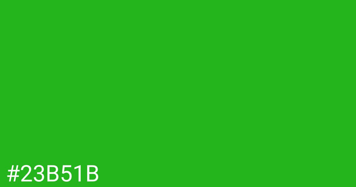 Hex color #23b51b graphic