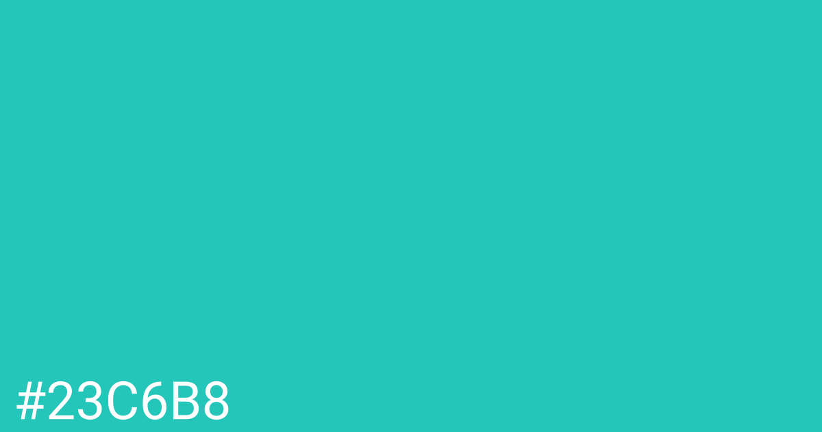 Hex color #23c6b8 graphic