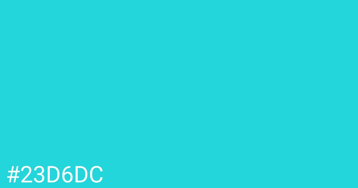 Hex color #23d6dc graphic