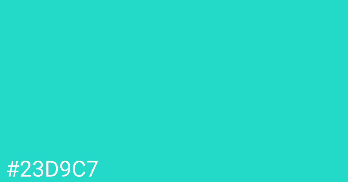 Hex color #23d9c7 graphic