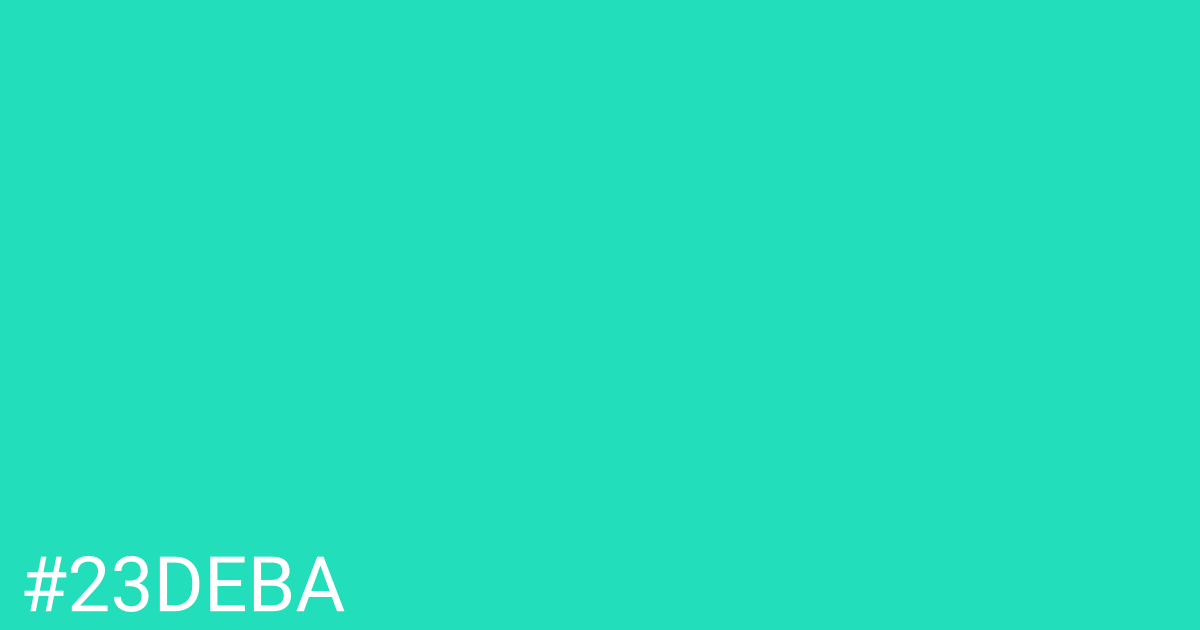 Hex color #23deba graphic