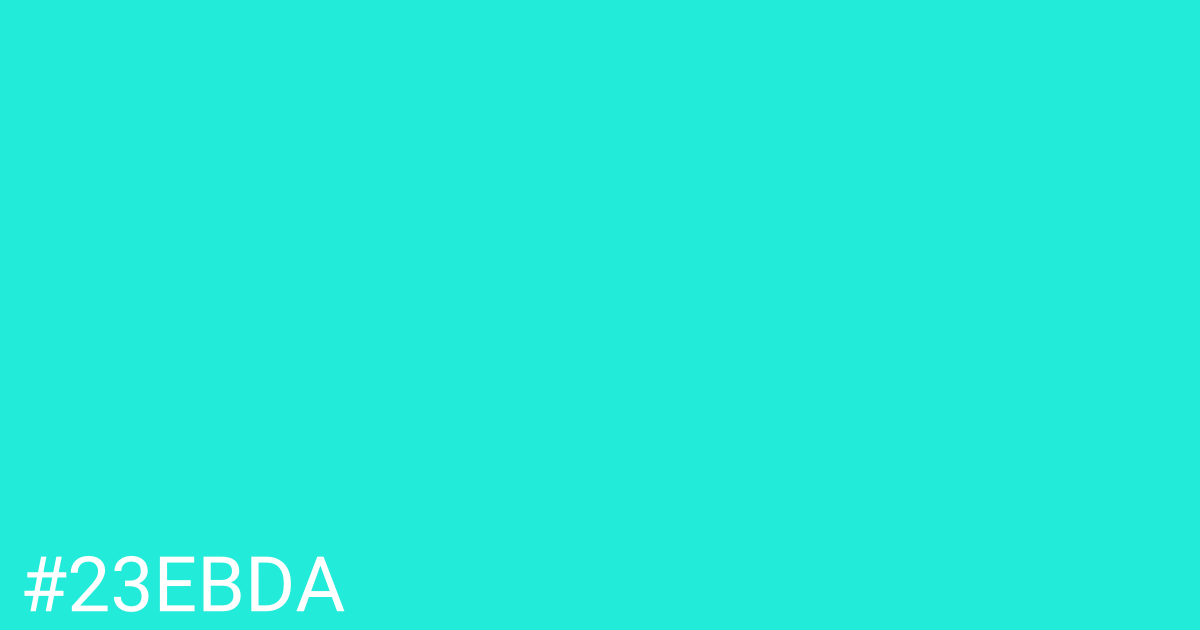 Hex color #23ebda graphic