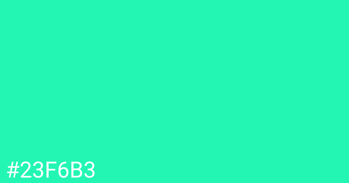 Hex color #23f6b3 graphic