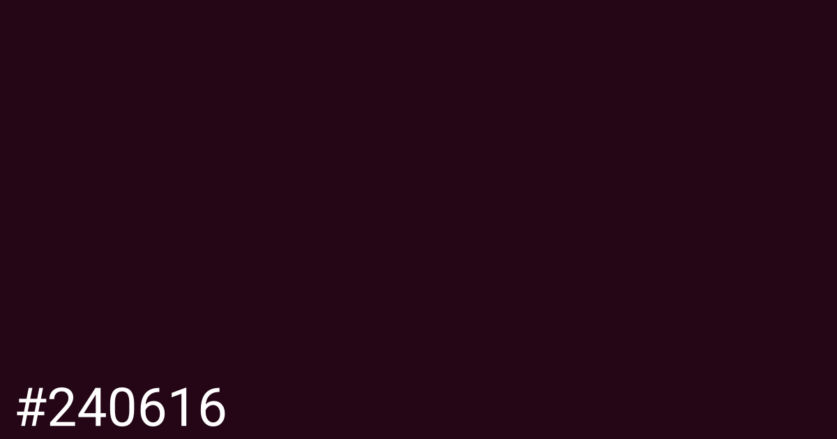 Hex color #240616 graphic