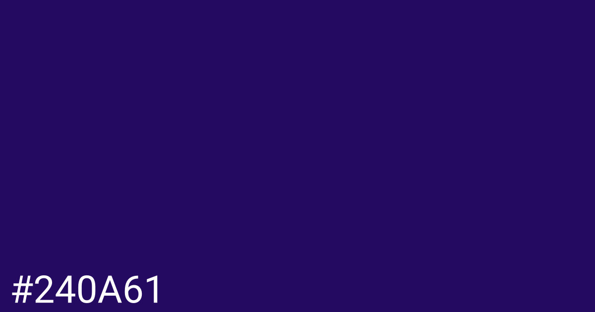Hex color #240a61 graphic