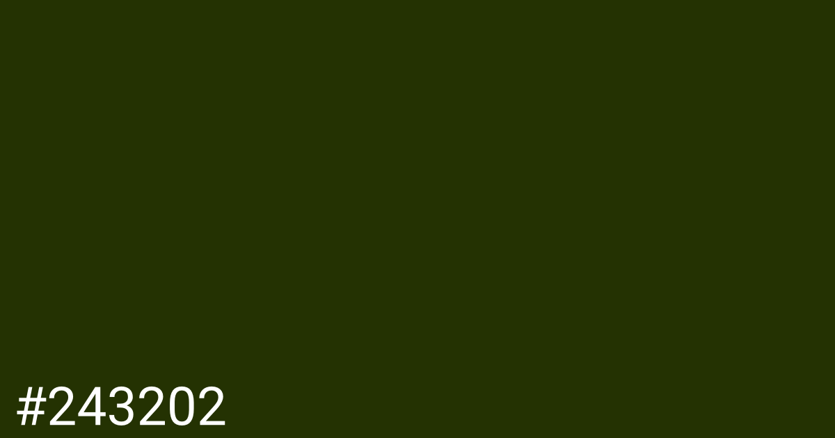 Hex color #243202 graphic