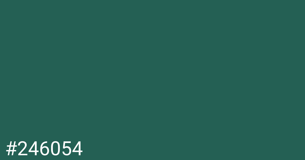 Hex color #246054 graphic