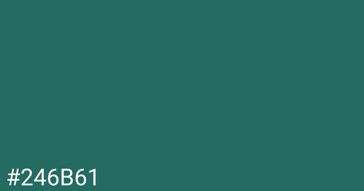 Hex color #246b61 graphic