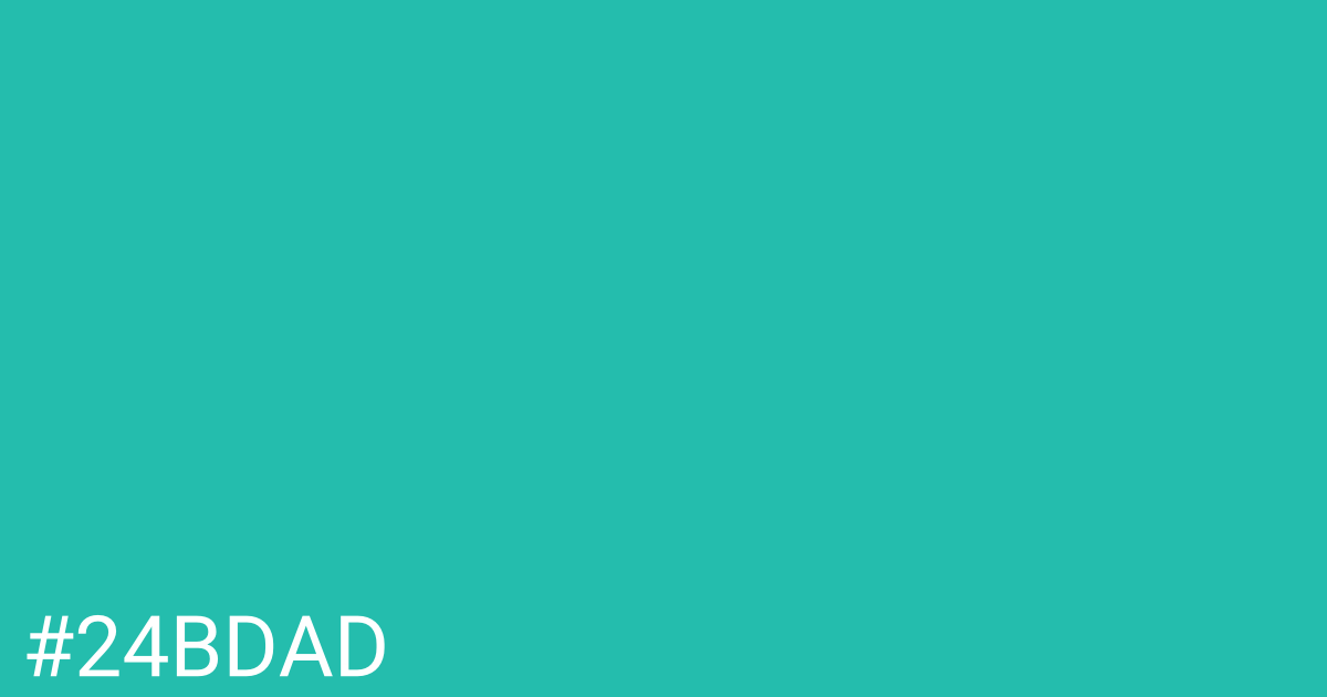 Hex color #24bdad graphic