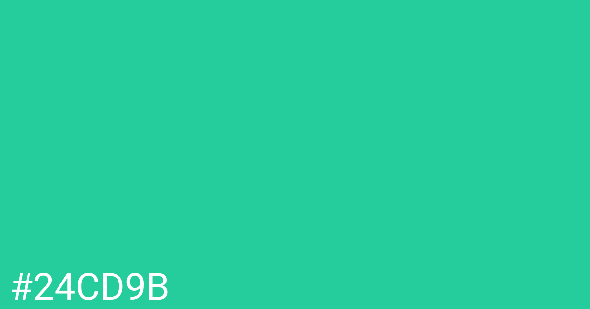 Hex color #24cd9b graphic