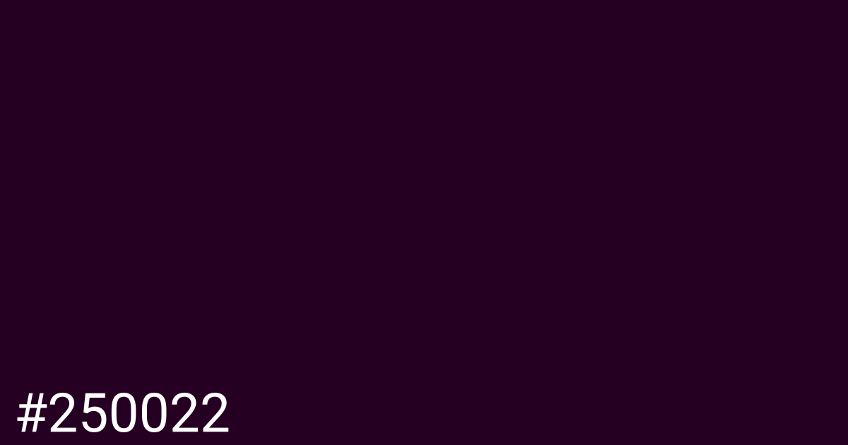 Hex color #250022 graphic