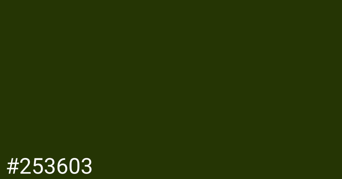 Hex color #253603 graphic