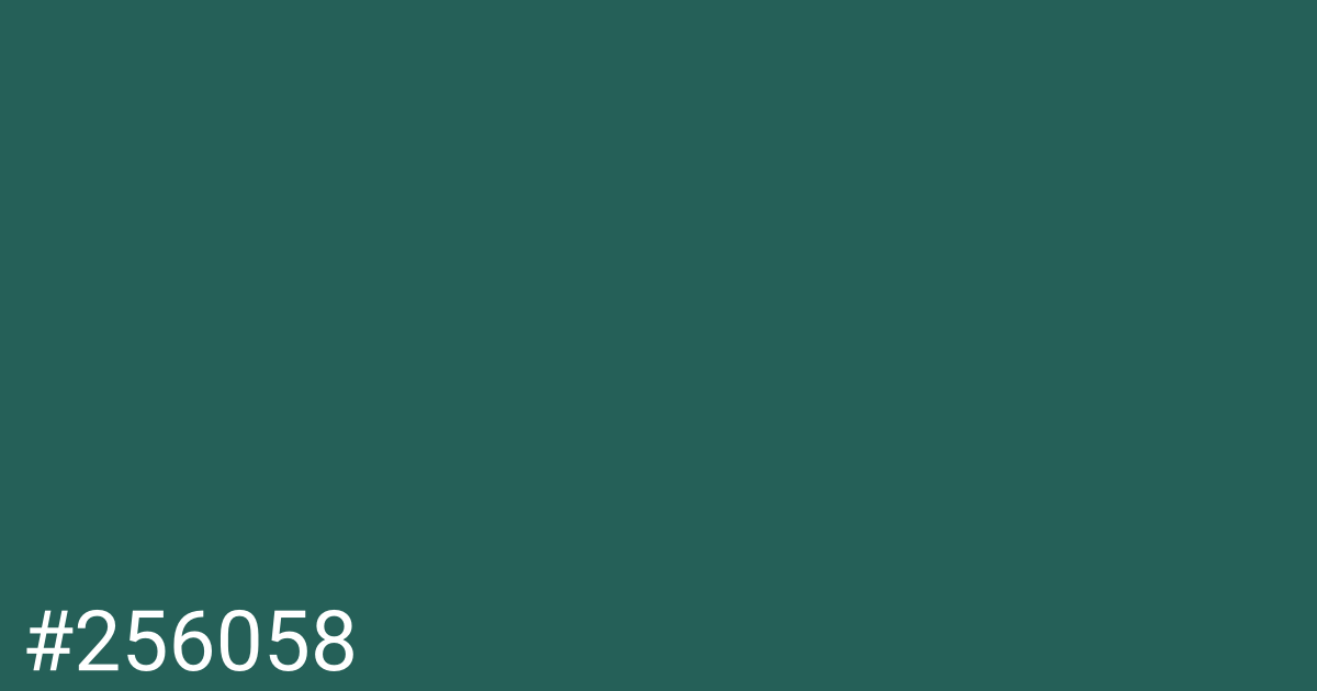 Hex color #256058 graphic