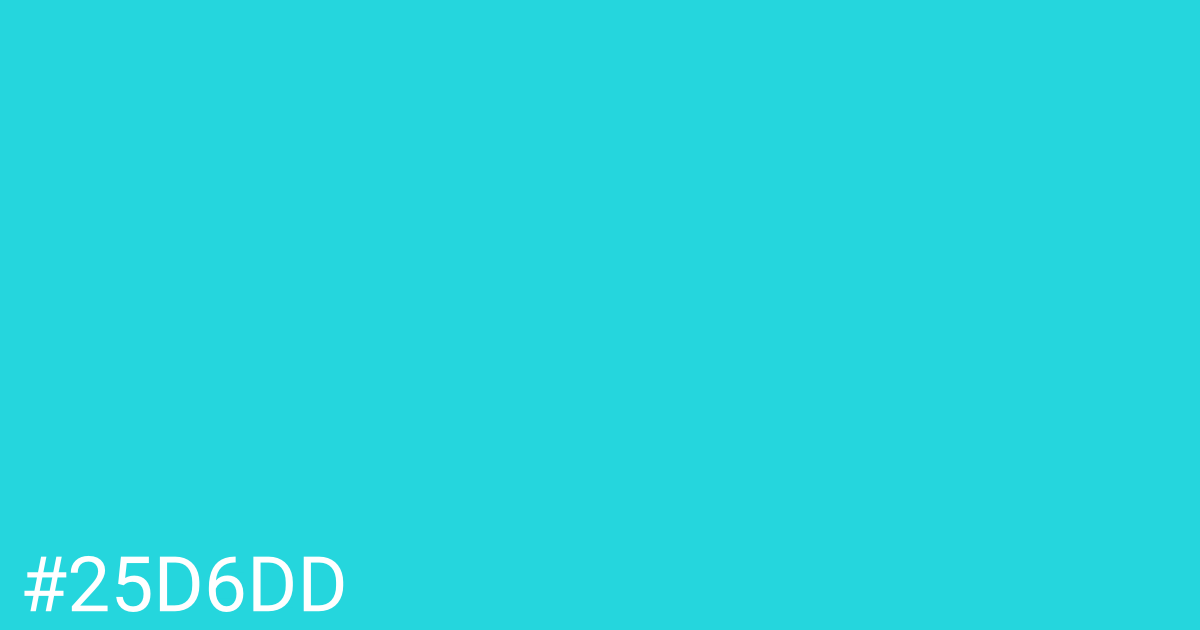Hex color #25d6dd graphic