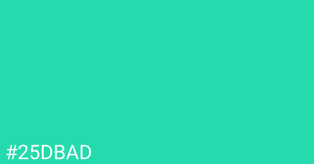 Hex color #25dbad graphic