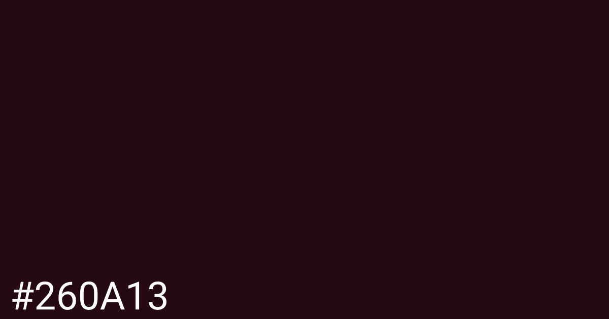 Hex color #260a13 graphic