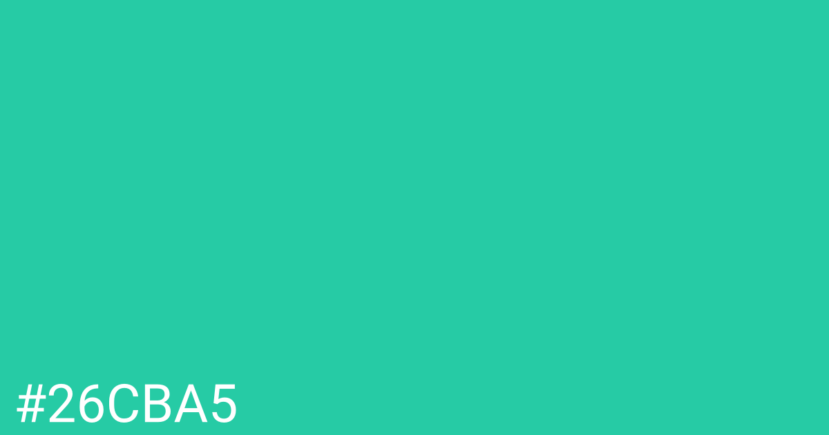 Hex color #26cba5 graphic