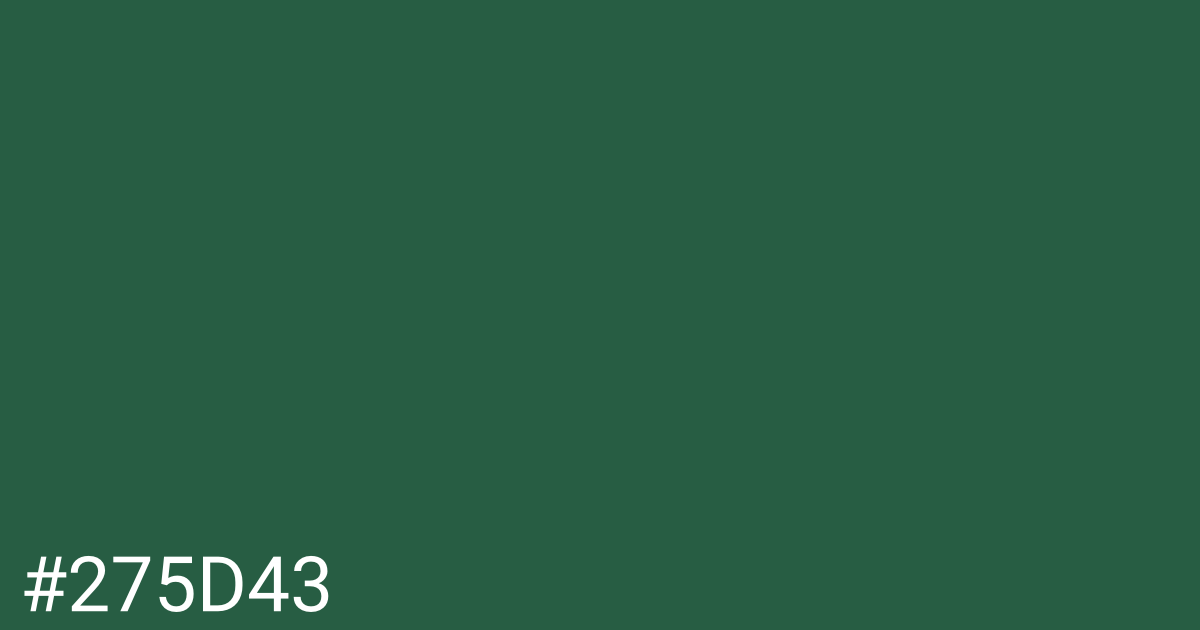 Hex color #275d43 graphic