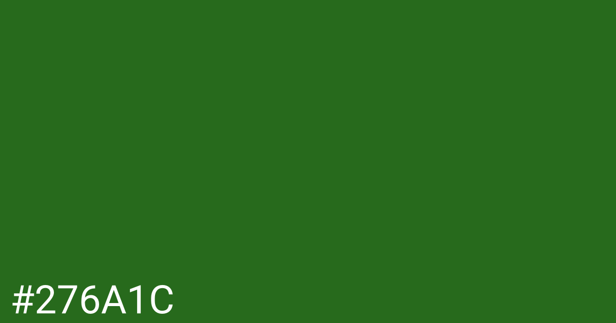 Hex color #276a1c graphic