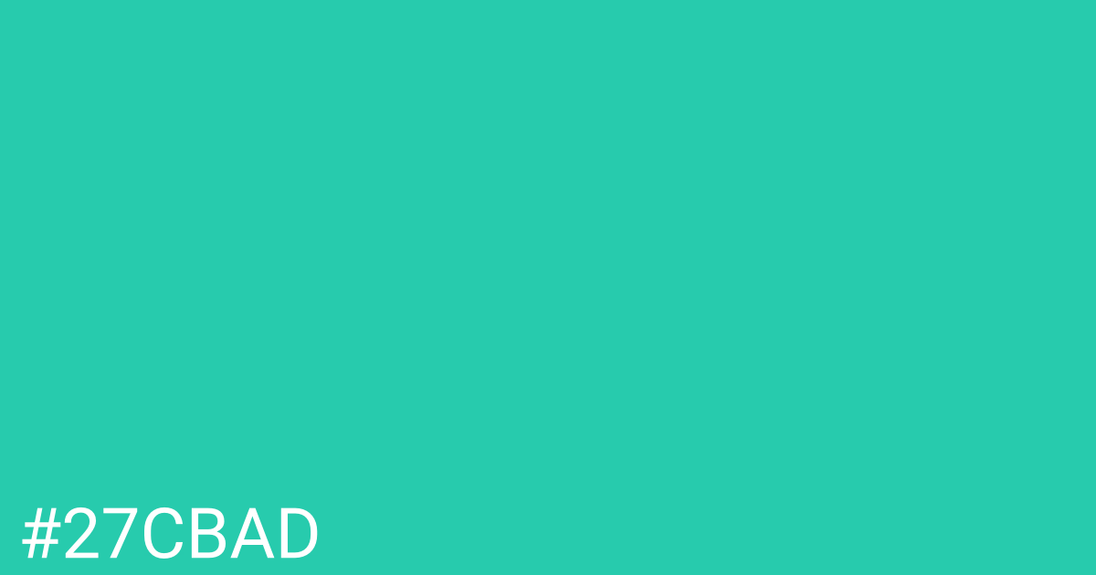Hex color #27cbad graphic