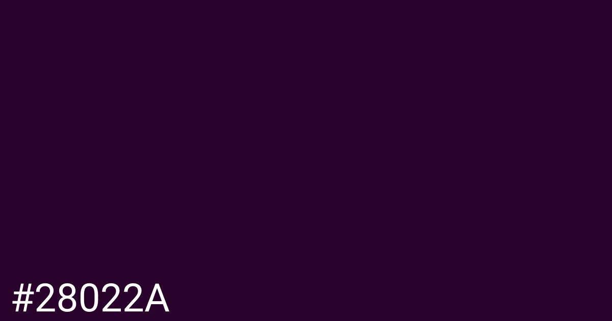 Hex color #28022a graphic