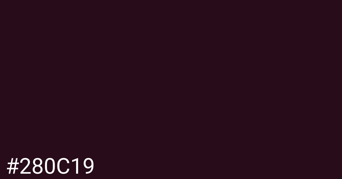Hex color #280c19 graphic