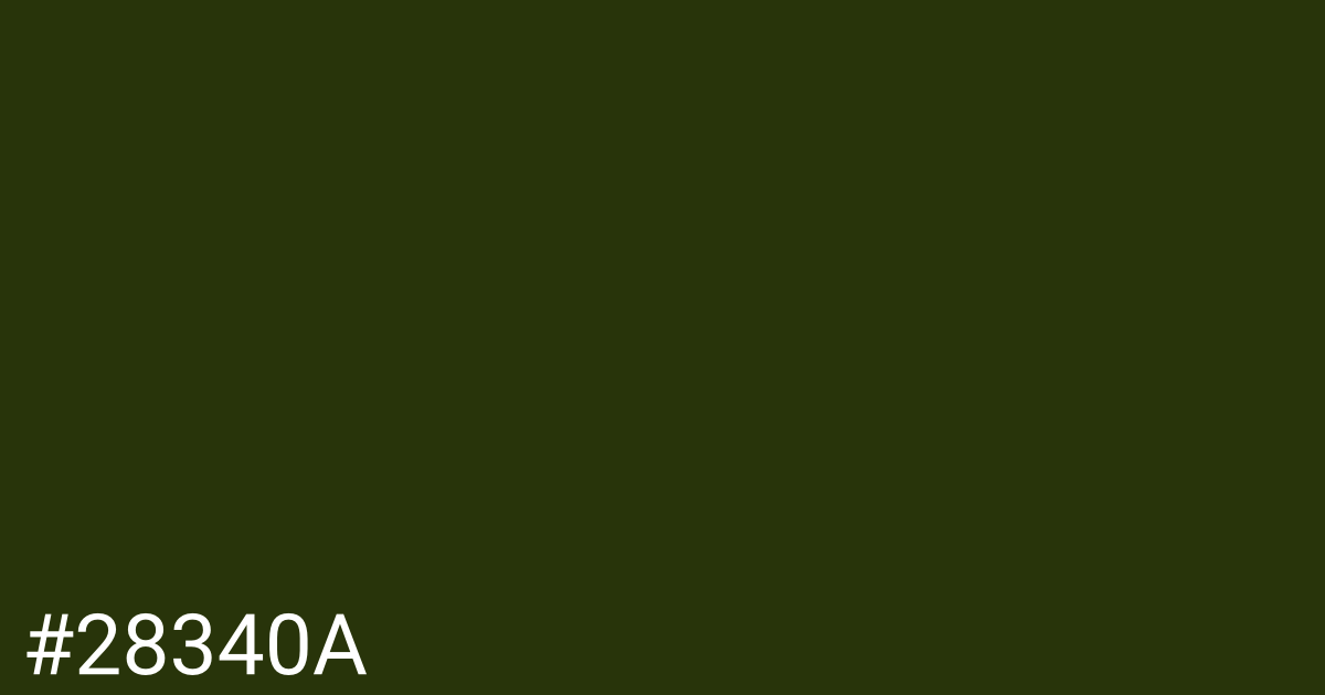 Hex color #28340a graphic