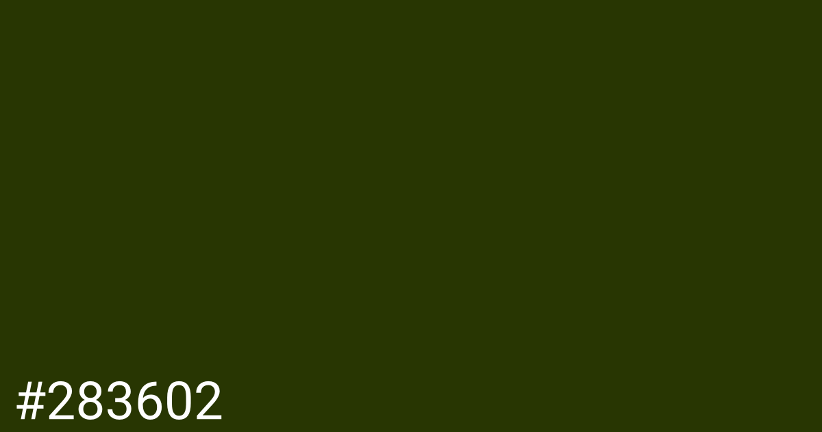 Hex color #283602 graphic