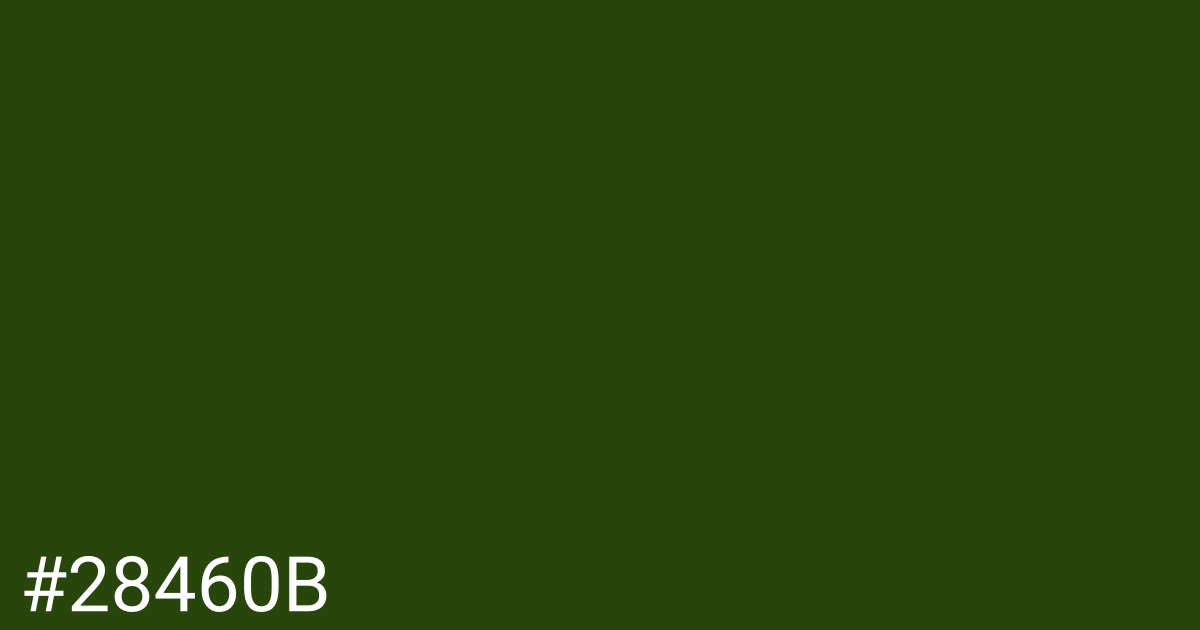 Hex color #28460b graphic