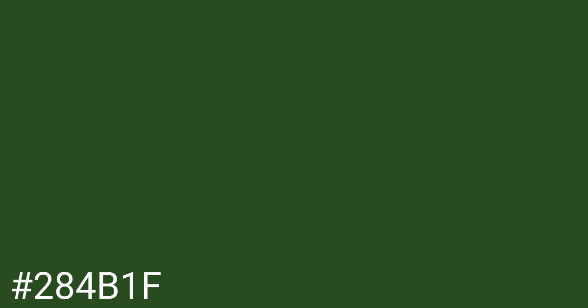 Hex color #284b1f graphic