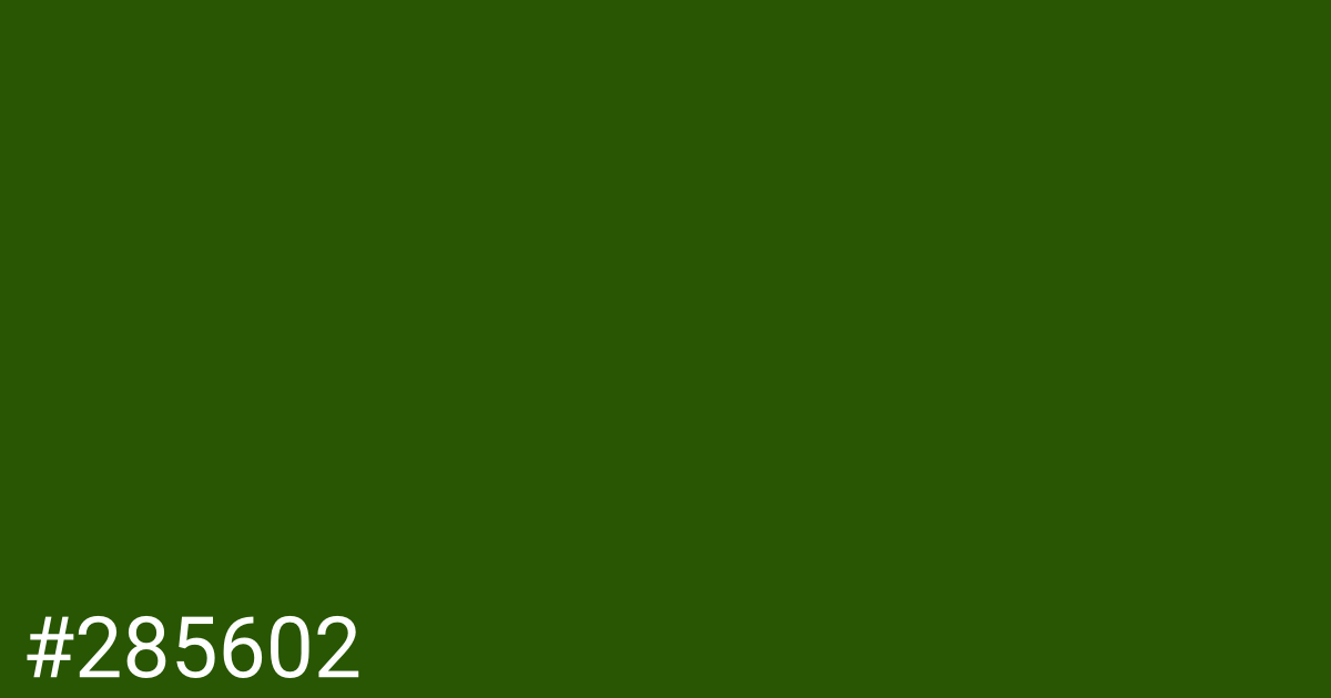Hex color #285602 graphic
