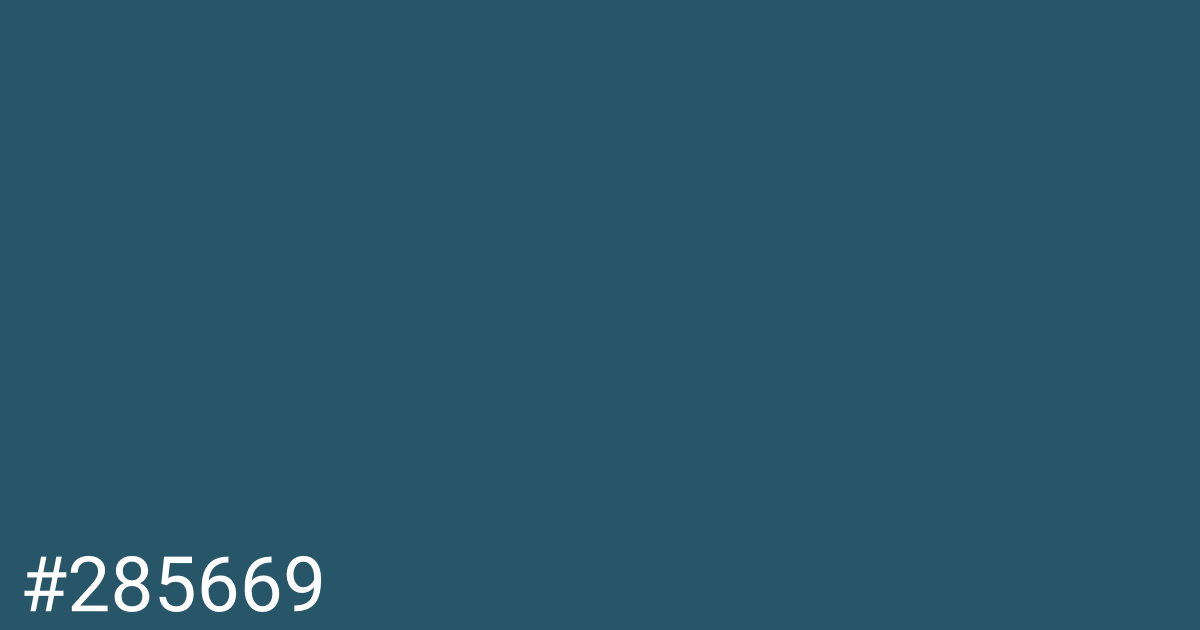 Hex color #285669 graphic