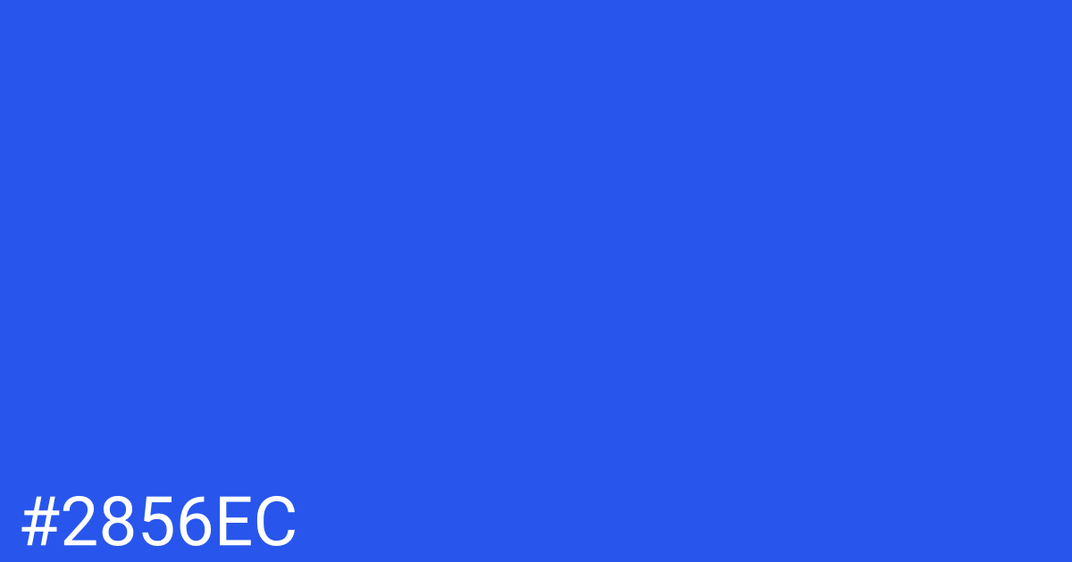 Hex color #2856ec graphic