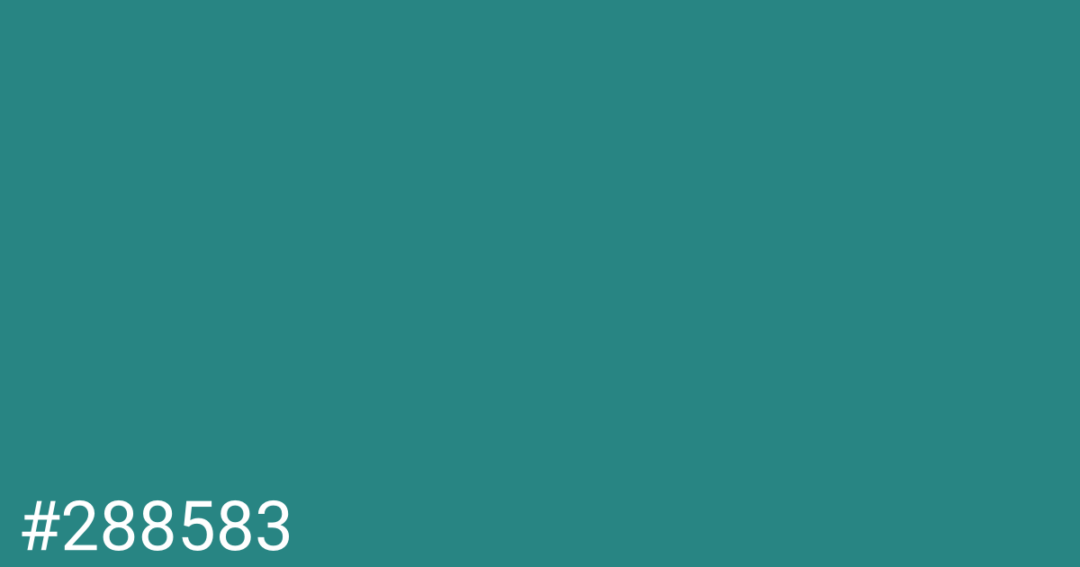 Hex color #288583 graphic