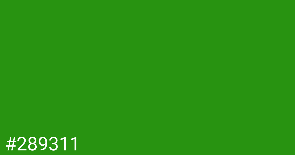 Hex color #289311 graphic