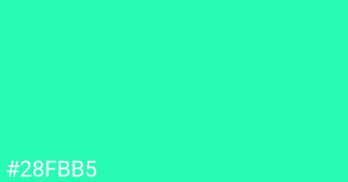 Hex color #28fbb5 graphic