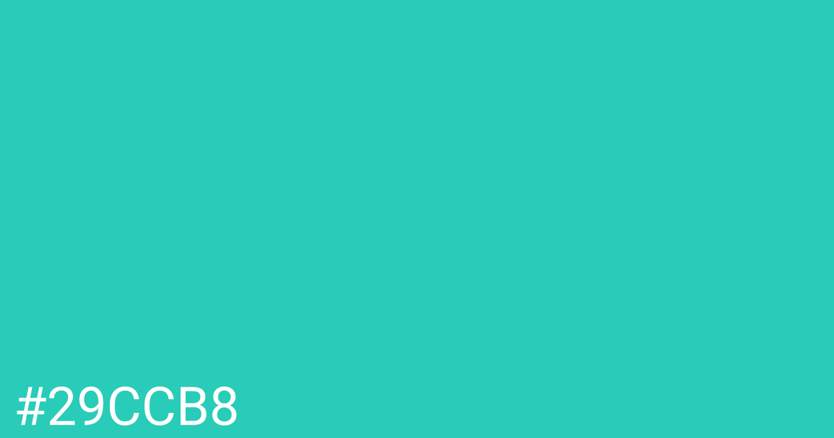 Hex color #29ccb8 graphic