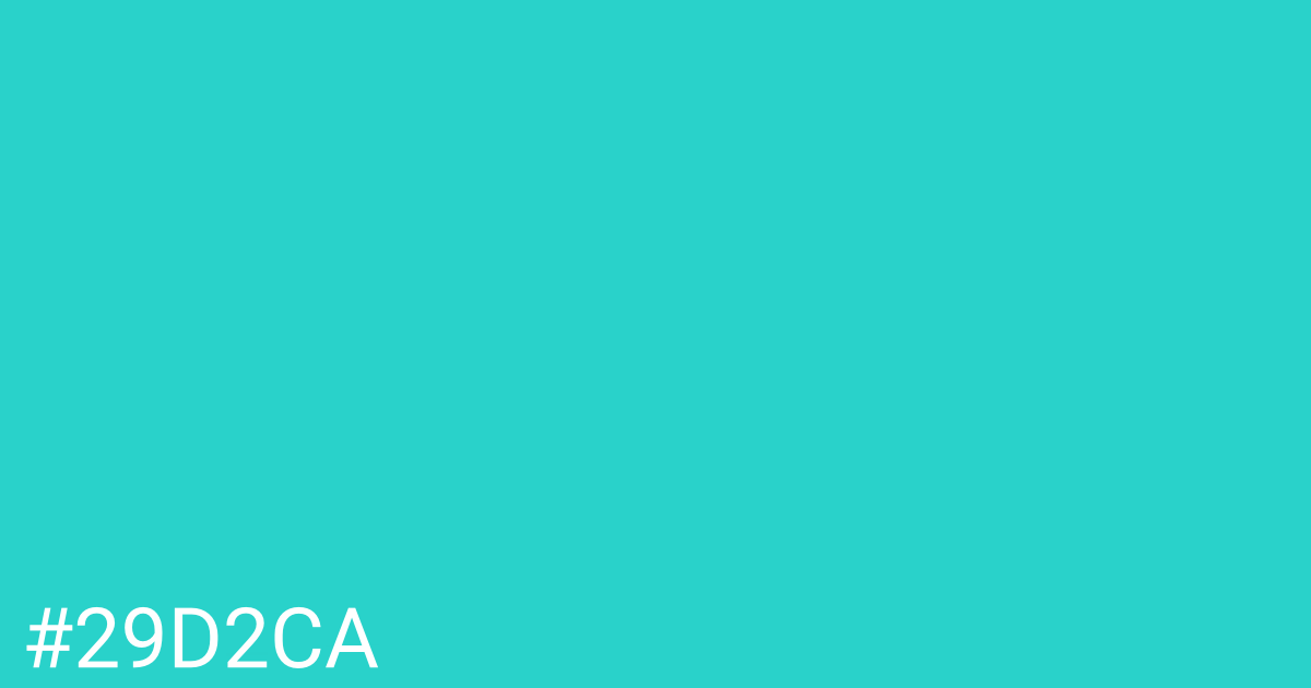 Hex color #29d2ca graphic