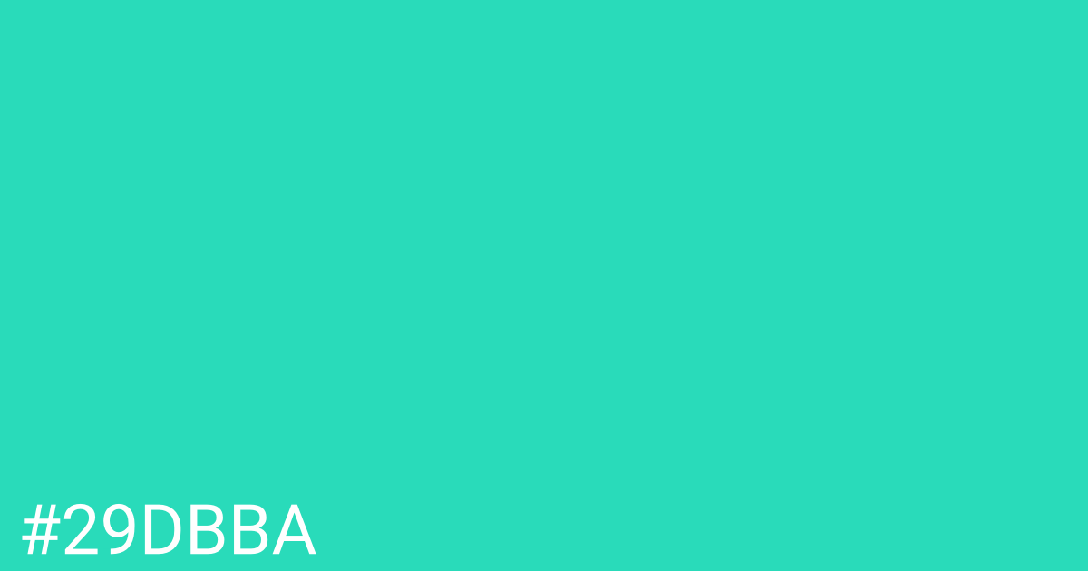 Hex color #29dbba graphic