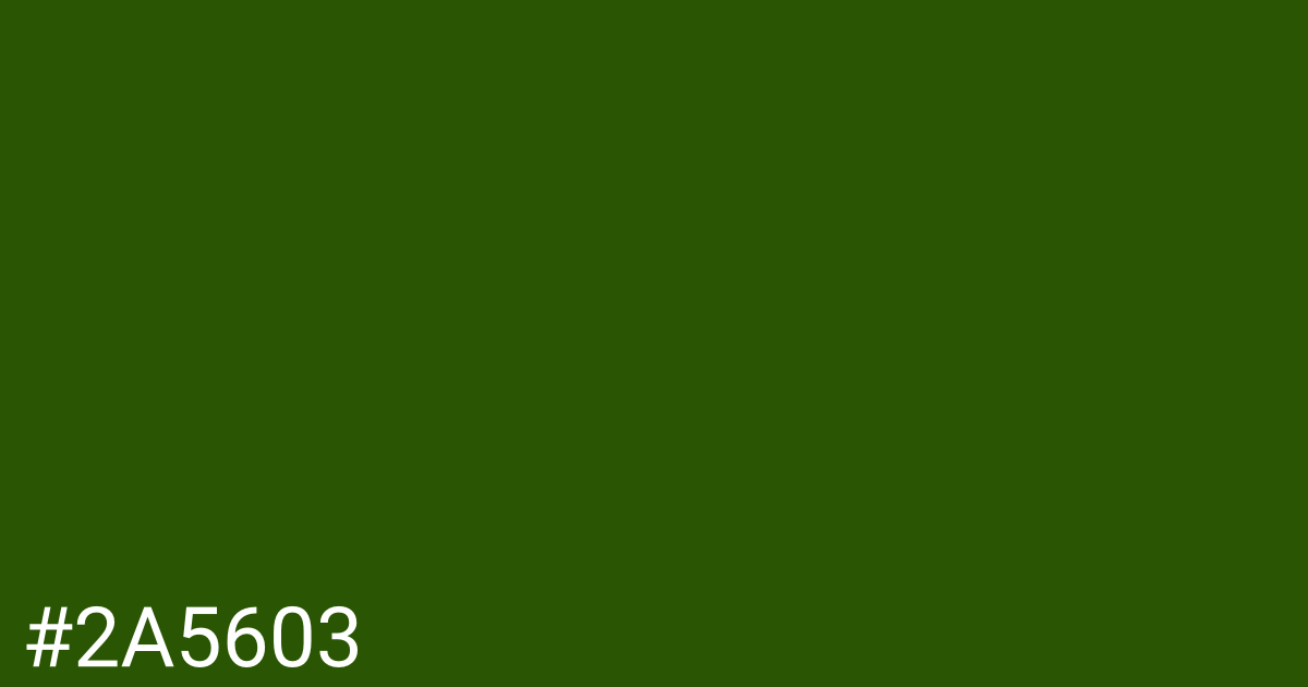 Hex color #2a5603 graphic