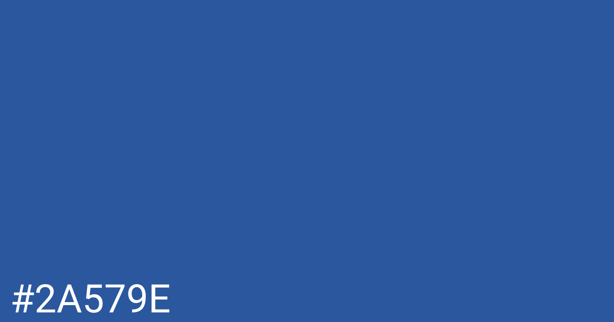 Hex color #2a579e graphic