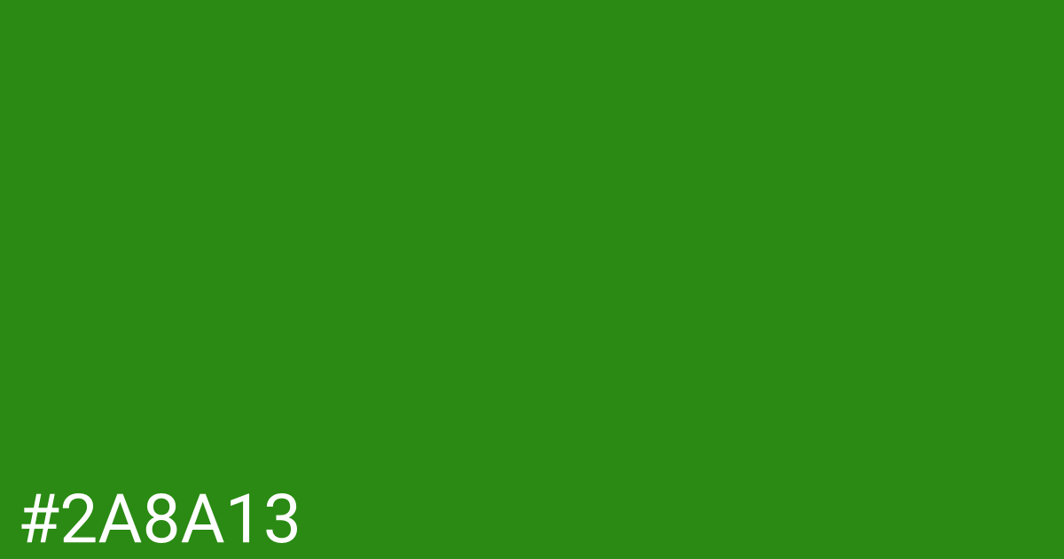 Hex color #2a8a13 graphic
